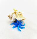 Octopus in a shell