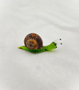 Glasschnecke im Schneckenhaus