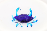 Glass crab